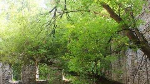 German Woolen Mill  - German-Woolen-Mill6.jpg