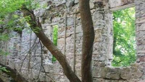 German Woolen Mill  - German-Woolen-Mill7.jpg