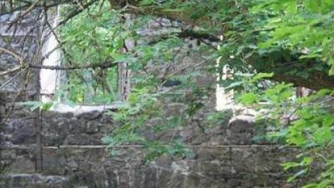 German Woolen Mill  - German-Woolen-Mill8.jpg