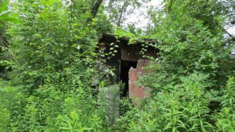 Photo from In the Green