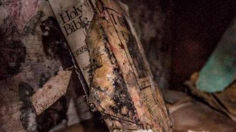 Don't Know What You Got... - Farm-on-GR-134.jpg