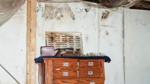 A walkaround - Two-Sixty-Nine8.jpg