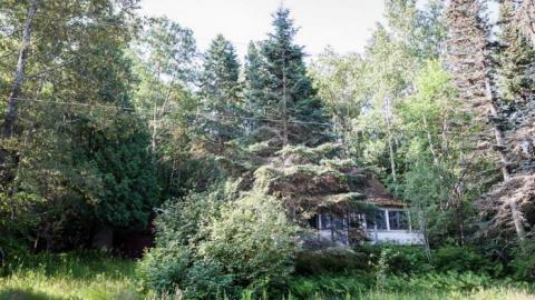 A walkaround - Two-Sixty-One1.jpg