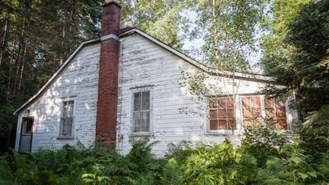 Two Sixty One photo 3