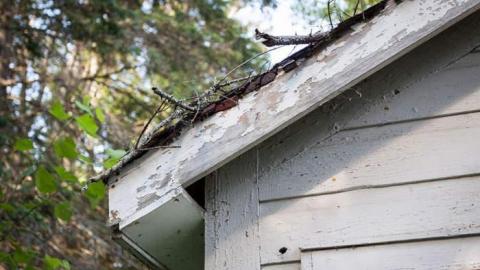 Two Sixty One photo 4