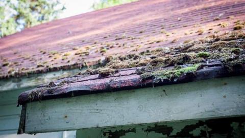 A walkaround - Two-Sixty-One4.jpg