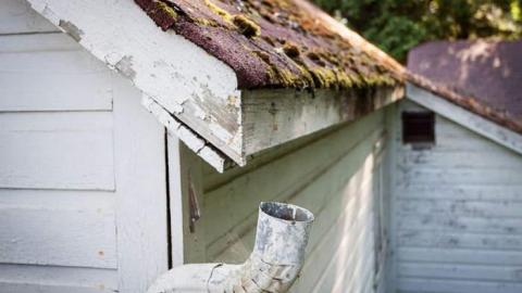 Two Sixty One - Armour, Ontario