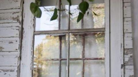 A walkaround - Two-Sixty-One6.jpg