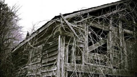 12th Line & Bass Lake Road - IMG_3529.jpg