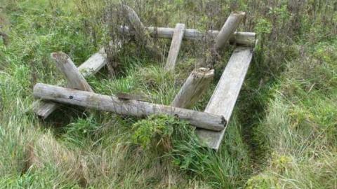 Sideline 26 Playland House - Playland-House5.jpg