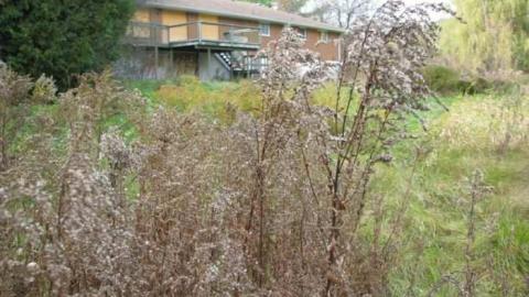 Playland House photo 3