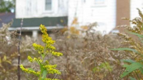 Oct 2010 - BarkeyMichell-House8.jpg