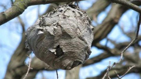 Oct 2010 - BarkeyMichell-House9.jpg