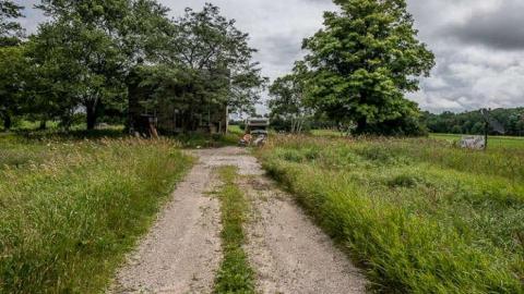 Not Sure - GND FM3-4943.jpg