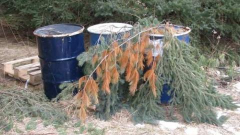 Sideline 28 Dog Kennels - Dog-Kennels--Shed15.jpg