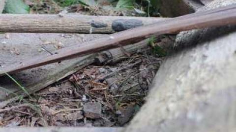 Pile of Debris - New-Tec-farmhouse3.jpg