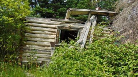 Pass Lake Collapsed Cabin photo 3