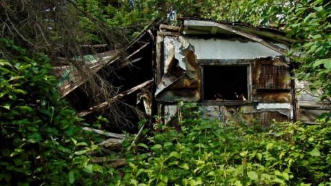 Pass Lake Collapsed Cabin - Pass-Lake-Collapsed-Cabin6.jpg
