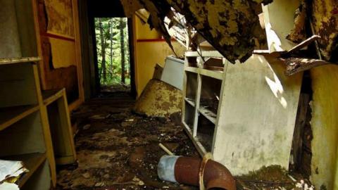 Pass Lake Collapsed Cabin photo 5