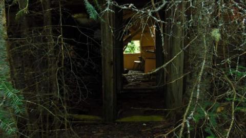 Pass Lake Collapsed Cabin photo 4