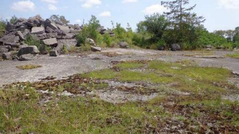 Part of the Ruins? - The-Portland-Cement-Ruins17.jpg