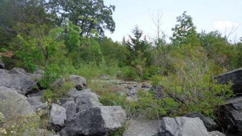 Part of the Ruins? - The-Portland-Cement-Ruins11.jpg