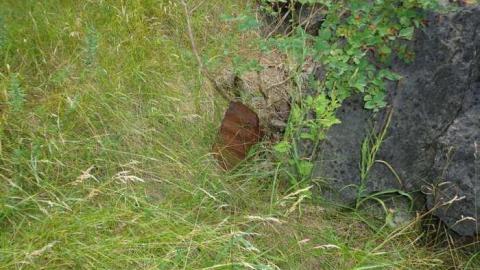 Part of the Ruins? - The-Portland-Cement-Ruins12.jpg