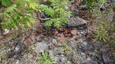 Part of the Ruins? - The-Portland-Cement-Ruins5.jpg