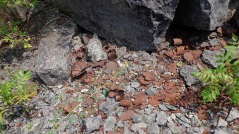 Photo from Part of the Ruins?