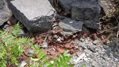 Part of the Ruins? - The-Portland-Cement-Ruins6.jpg