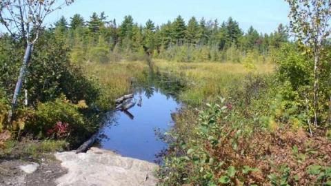Nipissing Colonization Road - Magnetawan, Ontario
