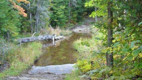 Nipissing Colonization Road photo 4