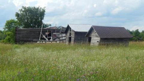 Collapse On A Combine - Mcnab/Braeside, Ontario