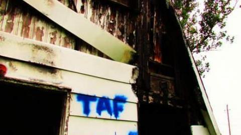 Burnt down triangle - IMG_0985.jpg