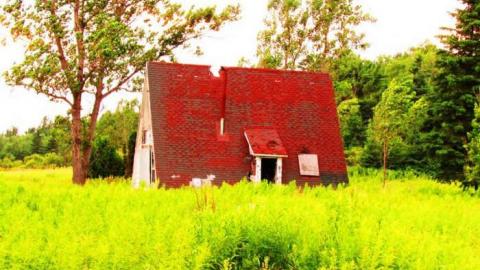 Burnt down triangle - IMG_0991.jpg