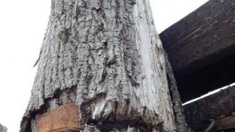 Sawmill In repose - Sawmill-In-Repose27.jpg