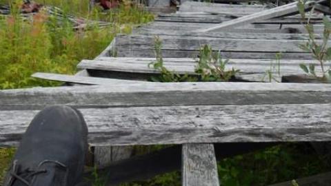 Sawmill In repose - Sawmill-In-Repose18.jpg