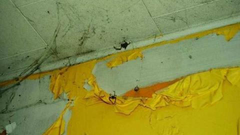 Playhouse - Maddington-farm-house15.jpg