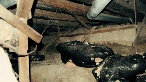 Playhouse - Maddington-farm-house21.jpg