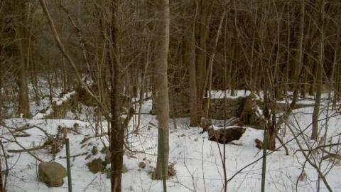 Major Fun - Glen-Major-(semighost-town)14.jpg