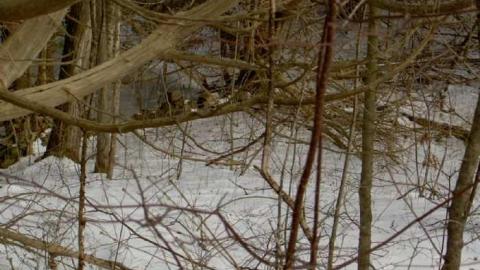 Major Fun - Glen-Major-(semighost-town)15.jpg