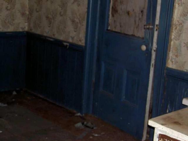 J. White Farm photo 3