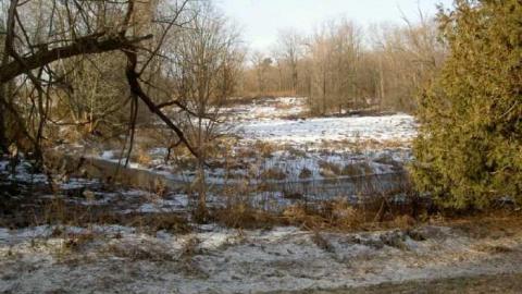 Altona Ghost Town in Progress - Altona-(ghost-town)42.jpg