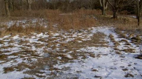 Altona Ghost Town in Progress - Altona-(ghost-town)45.jpg