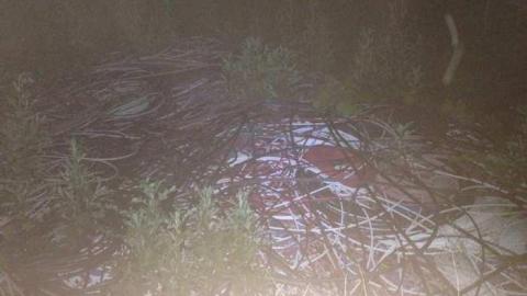 July 22 2014 - Southwest-Regional-Centre73.jpg