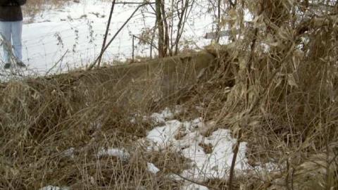 Glyde and Slyde Farmstead photo 2