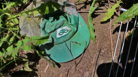 A Fridge Too Close - OAP ADD X3 tilly colbed 130lico.jpg