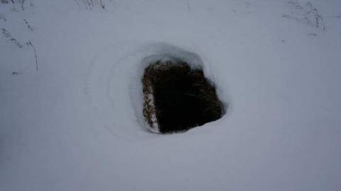 Winter Fun - Abandoned-Farm-Dugout21.jpg
