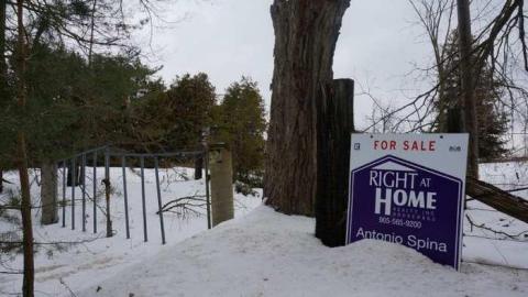 Winter Fun - Abandoned-Farm-Dugout15.jpg