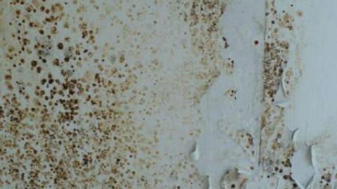 Get Wrecked - P1160106.jpg